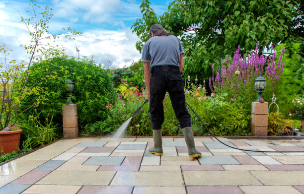 Animal Enclosure Cleaning in Lake Success, NY